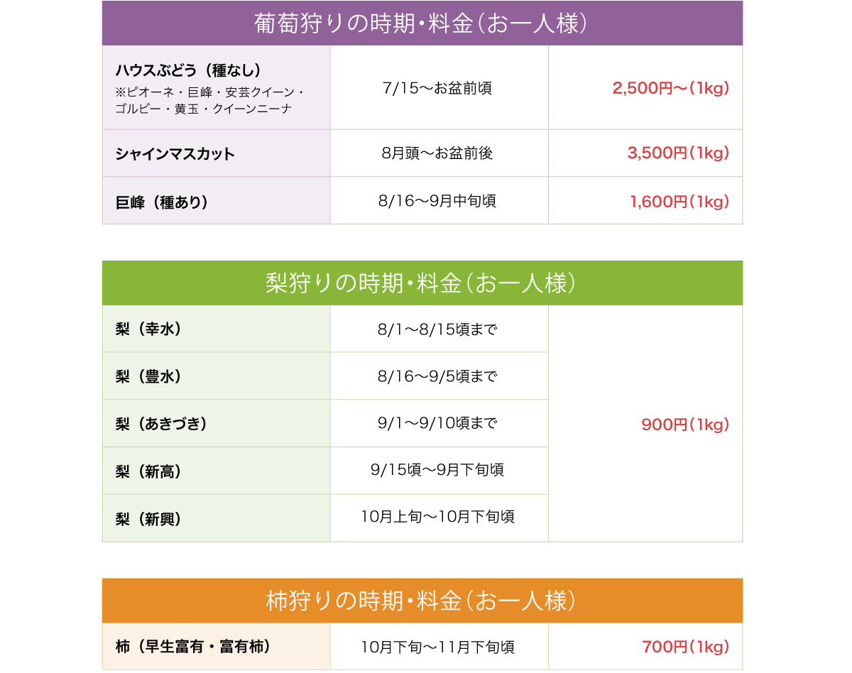 ぶどう狩りの時期・料金